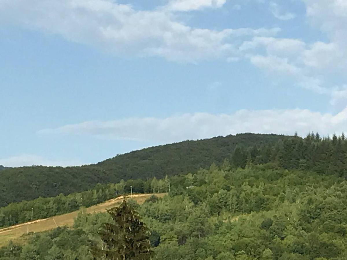 Приватна Садиба ~Smoky Mountain~ Polyana (Transcarpathia) Exterior foto